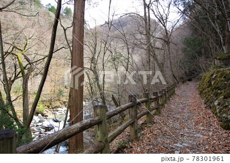 那須塩原の秘境スッカン沢雄飛の滝線歩道 78301961