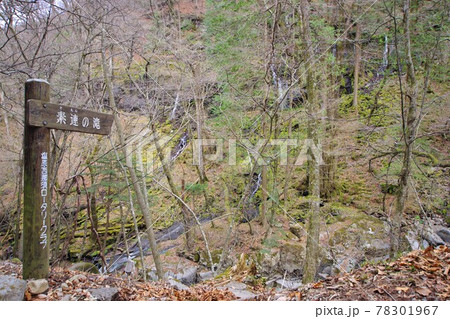 那須塩原の秘境スッカン沢 素連の滝 那須塩原の秘境スッカン沢 素連の滝 78301967
