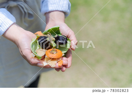 野菜 切れ端 生ゴミ 手のひら 野菜 切れ端 生ゴミ 手のひら 78302823