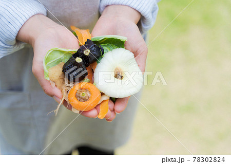 野菜 切れ端 生ゴミ 手のひら 野菜 切れ端 生ゴミ 手のひら 78302824
