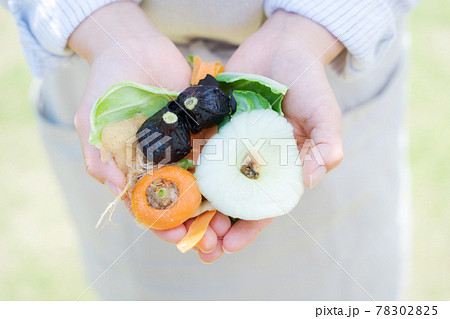 野菜　切れ端　生ゴミ　手のひら 78302825