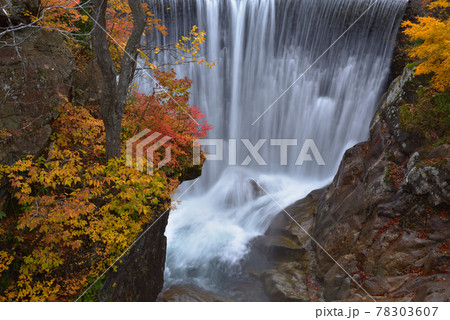 紅葉と湯檜曽川土合砂防堰堤 78303607
