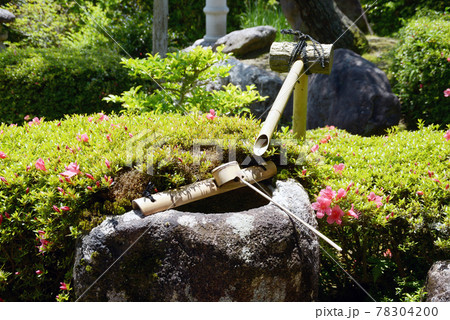 大池寺 前庭の手水鉢 滋賀県甲賀市水口町 大池寺 前庭の手水鉢 滋賀県甲賀市水口町 78304200
