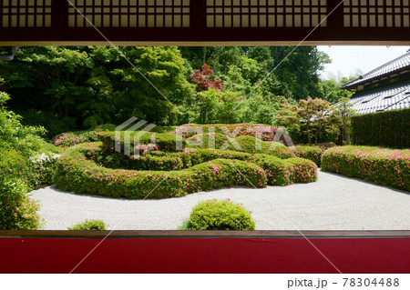 大池寺　書院から蓬莱庭園を望む　滋賀県甲賀市水口町 78304488