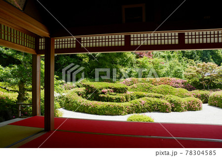 大池寺　書院から蓬莱庭園を望む　滋賀県甲賀市水口町 78304585