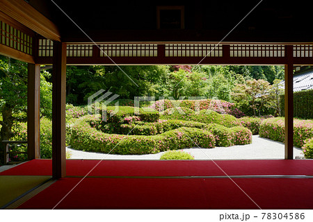大池寺　書院から蓬莱庭園を望む　滋賀県甲賀市水口町 78304586