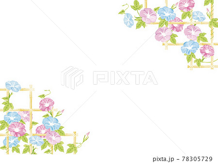 竹棚のあさがお　水彩イラスト 78305729