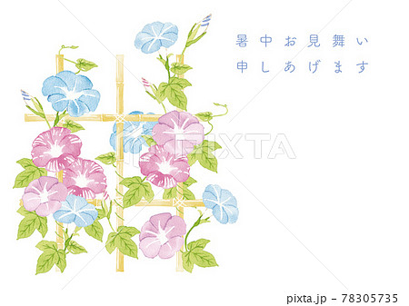 竹棚のあさがお 水彩イラスト 竹棚のあさがお 水彩イラスト 78305735