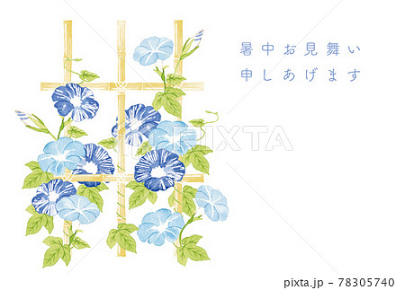 竹棚のあさがお 水彩イラスト 竹棚のあさがお 水彩イラスト 78305740