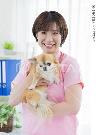 医療　犬の診察をする獣医 78306146