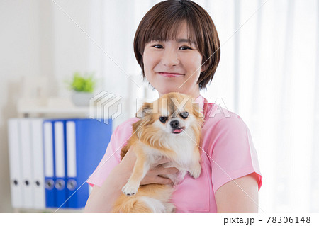 医療 犬の診察をする獣医 医療 犬の診察をする獣医 78306148