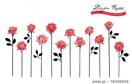 12本の赤いバラのイラスト/水彩タッチのイラスト素材 [78306606] - PIXTA