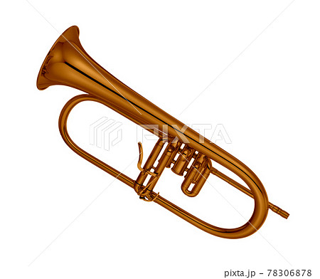 Trumpet isolated on white Trumpet isolated on white 78306878