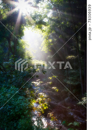 明るい未来の写真素材 明るい未来の写真素材