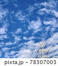 青空と雲と電線と鉄塔 78307003