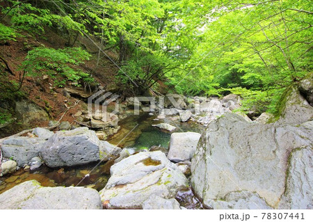 前山八方ヶ原線歩道　滝巡りハイキング 78307441