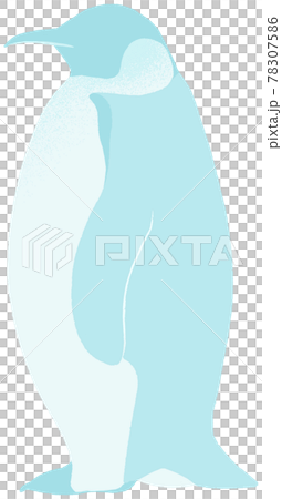 Light blue emperor penguins with a cool image 78307586