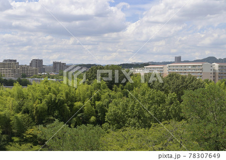 千里中央公園の展望台から千里ニュータウン新千里東町・新千里北町（大阪府豊中市）方面を望む 78307649
