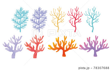 珊瑚の水彩イラストのイラスト素材 7076