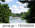 井の頭恩賜公園の池 78308666