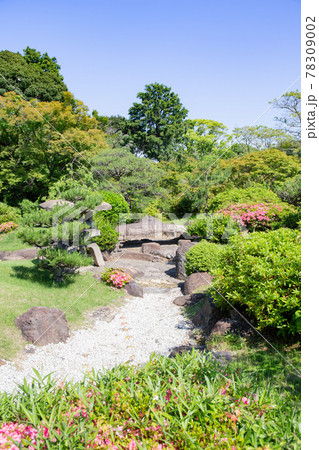 神戸・須磨離宮公園の日本庭園の灯籠と新緑 神戸・須磨離宮公園の日本庭園の灯籠と新緑 78309002