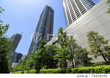 東京 汐留の都市風景 東京ツインパークス 東京 汐留の都市風景 東京ツインパークス 78309266
