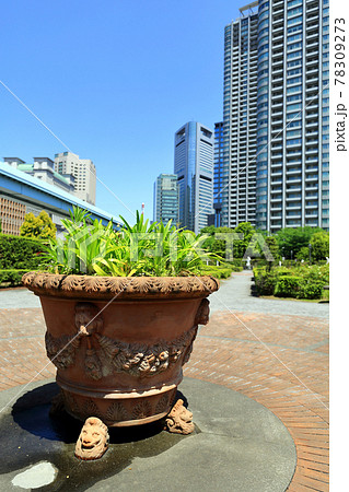 東京 汐留のビル群とイタリア公園 東京 汐留のビル群とイタリア公園 78309273