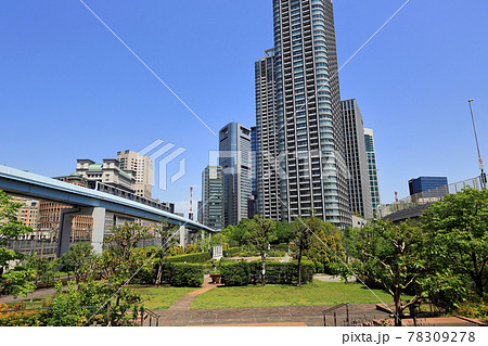 東京 汐留のビル群とイタリア公園 東京 汐留のビル群とイタリア公園 78309278