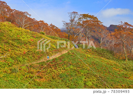 秋の群馬県 谷川岳天神峠リフトから天神尾根方面に向かう登山者を見る 秋の群馬県 谷川岳天神峠リフトから天神尾根方面に向かう登山者を見る 78309493
