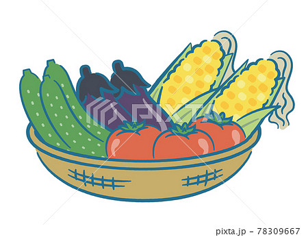 カゴに入った夏野菜 78309667