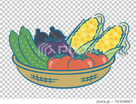 夏季蔬菜在籃子裡 78309667