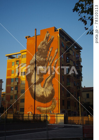 wolf painted building wolf painted building 78310113