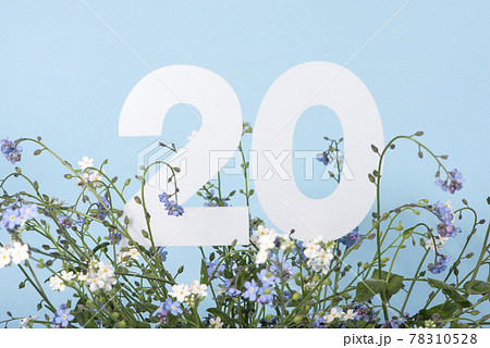 Number twenty among blue forget-me-not flowers. .Birthday, anniversary, jubilee concept. 78310528