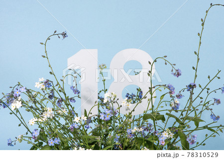 Number eighteen among blue forget-me-not flowers. .Birthday, anniversary, jubilee concept. Number eighteen among blue forget-me-not flowers. .Birthday, anniversary, jubilee concept. 78310529