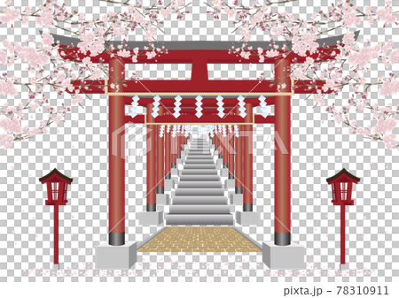 Torii cherry blossoms Torii cherry blossoms 78310911