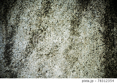 outer peel of orange seed under a light microscope, magnification 40 times outer peel of orange seed under a light microscope, magnification 40 times 78312354
