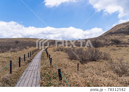 霧ヶ峰・車山を歩く 78312582