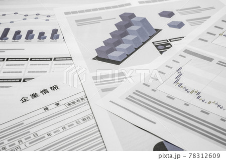 企業情報 書類 78312609