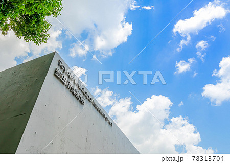 美しい佇まい、豊田市美術館〈愛知県豊田市〉 78313704