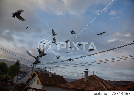 大空 空 エーテル 78314663