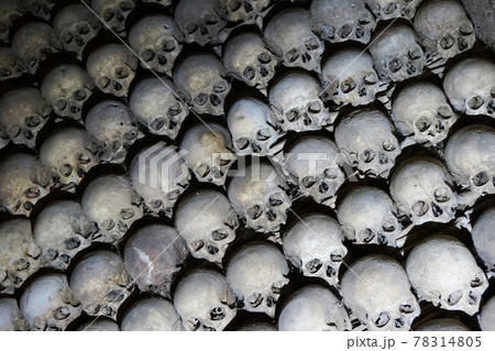Human bones and skulls as pirate texture Human bones and skulls as pirate texture 78314805