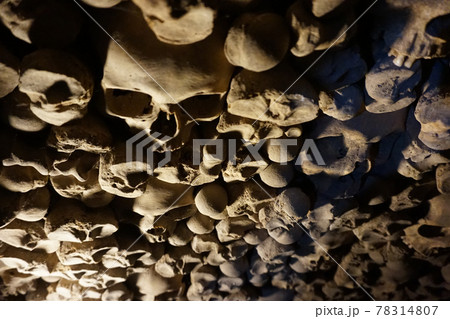 Human bones and skulls as pirate texture 78314807
