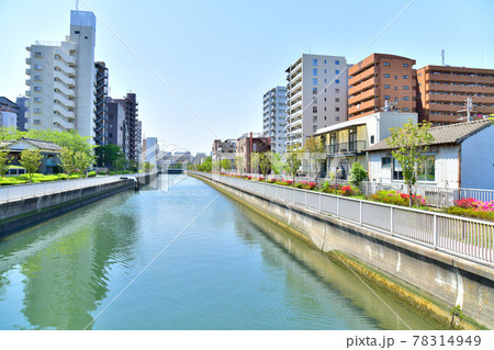 末広橋／仙台堀川より亀久橋方面を望む(東京都江東区)【2021.4】 78314949