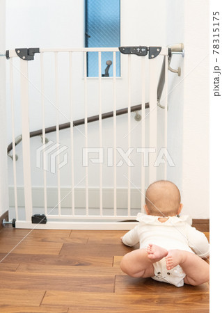 ベビーゲートの前にいる赤ちゃん ベビーゲートの前にいる赤ちゃん 78315175