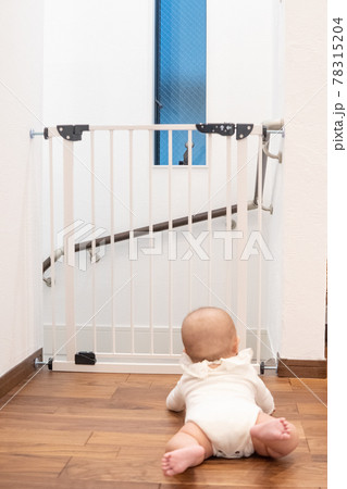 ベビーゲートの前にいる赤ちゃん ベビーゲートの前にいる赤ちゃん 78315204