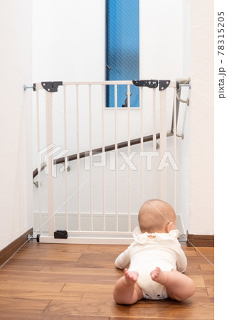 ベビーゲートの前にいる赤ちゃん ベビーゲートの前にいる赤ちゃん 78315205