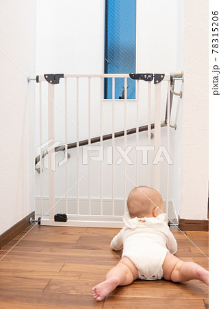 ベビーゲートの前にいる赤ちゃん ベビーゲートの前にいる赤ちゃん 78315206