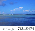 南国の海はきれいだ 78315474