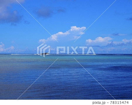 南国の海はきれいだ 78315474
