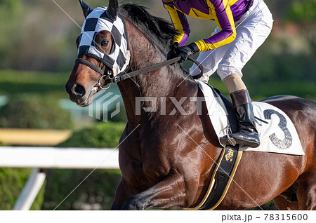 佐賀競馬 佐賀競馬 78315600
